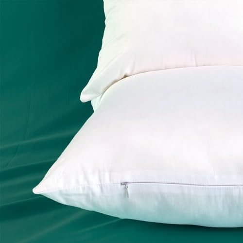 Set of 2 Ultra-Plump 18x18 Cotton Pillow Inserts for Couch Bed