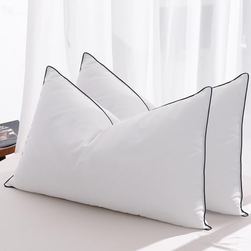 Luxury Hotel Goose Down Pillow King Size Set