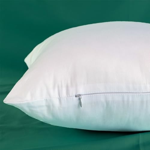 Set of 2 Ultra-Plump 18x18 Cotton Pillow Inserts for Couch Bed