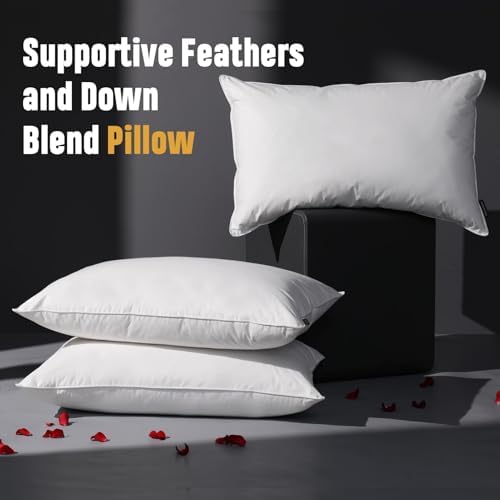 Downstoria King Size Down Pillows Set of 2