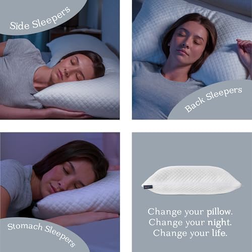 DreamyBlue Signature Pillow Adjustable Loft Shredded Memory Foam Sleep Comfort