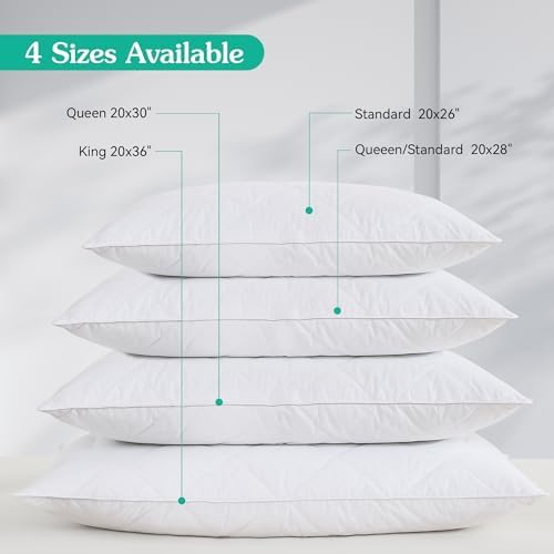 Goose Feather Bed Pillows Soft Supportive 600 Thread King Size