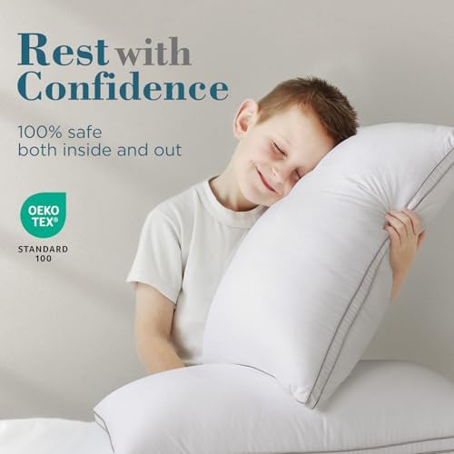 Queen-Size Set Hotel Quality Down Alternative Bed Pillows White