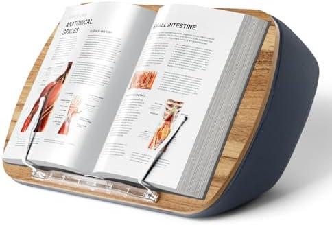 Perfect Beanbag Stand for Reading