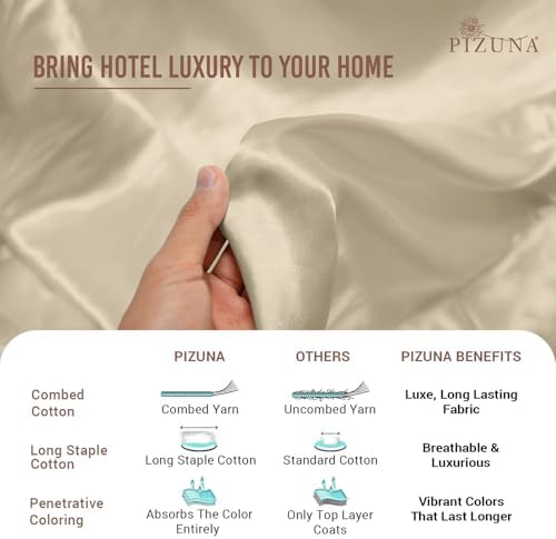 Luxury 400-Thread Queen Duvet Cover Set by Pizuna