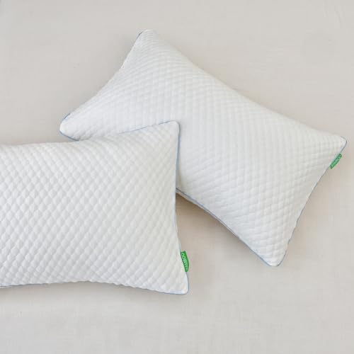 Cooling Memory Foam Pillows for Sleepers