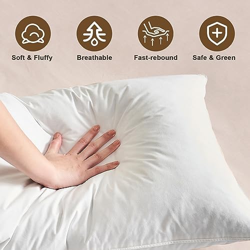 BHZ Goose Down Feather Queen Pillow - Hotel Style Soft Support