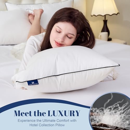 Luxury Hotel Goose Down Pillow King Size Set