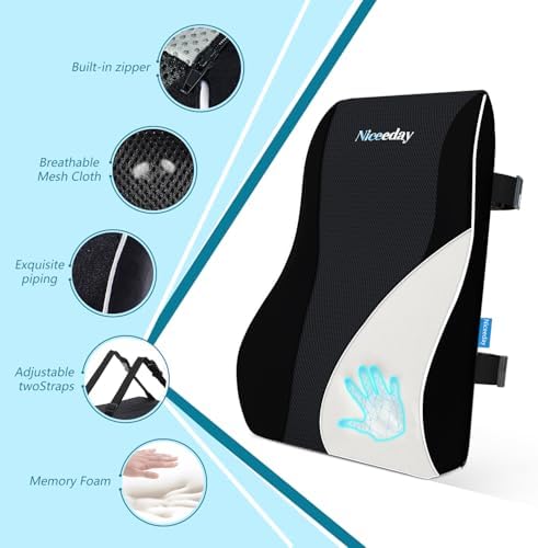 Adjustable Lumbar Pillow for Office Chairs and Cars