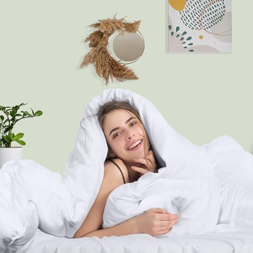 Utopia Bedding Quilted Comforter Duvet Insert White Queen Size