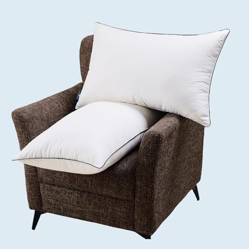 Luxury Hotel Goose Down Pillow King Size Set