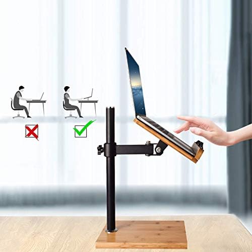 Adjustable Hand-Free Book Stand for Reading