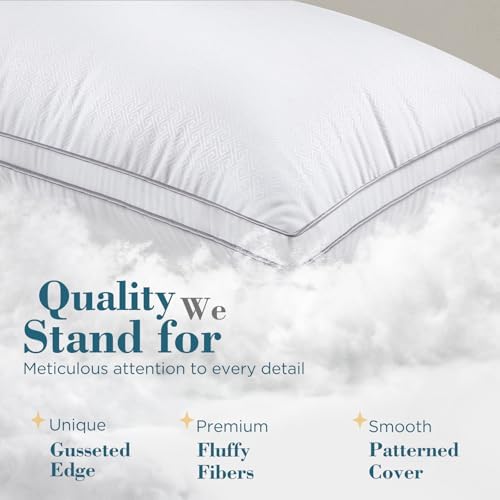 Queen-Size Set Hotel Quality Down Alternative Bed Pillows White