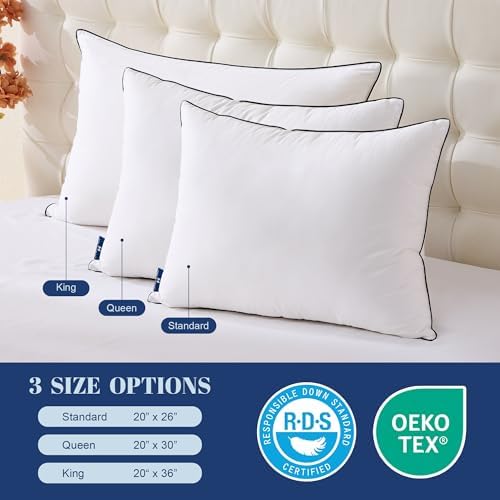 Luxury Hotel Goose Down Pillow King Size Set