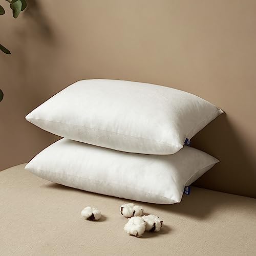 MIULEE 12x20 inch Decorative Pillow Insert