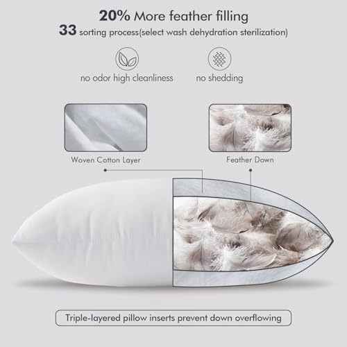 26x26 Euro Pillow Insert