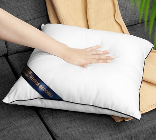 Utopia Bedding Decorative Pillow Insert