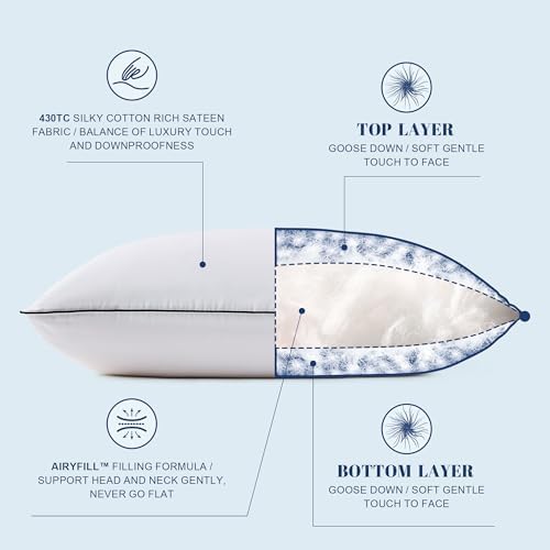 Luxury Hotel Goose Down Pillow King Size Set