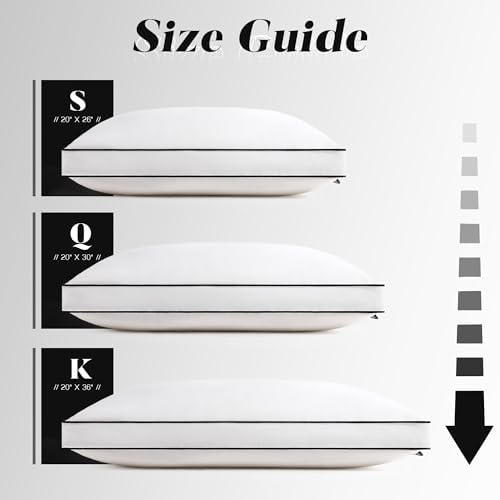 Luxury Down Pillow Set for Kings