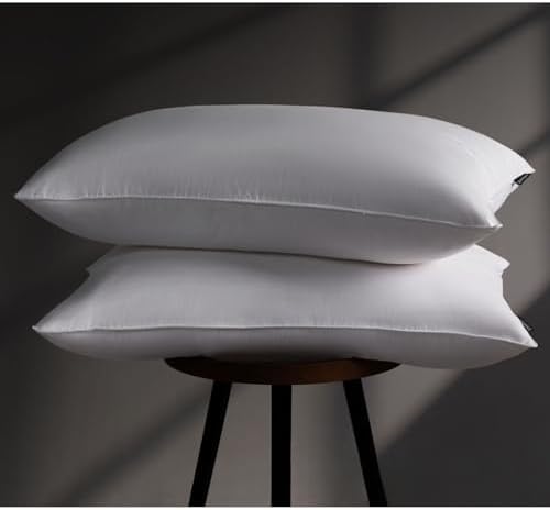 Downstoria King Size Down Pillows Set of 2