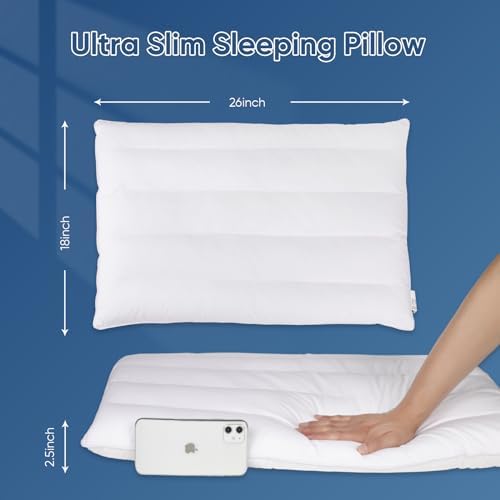 Mini Ultra Flat Pillow for Sleeping Thin