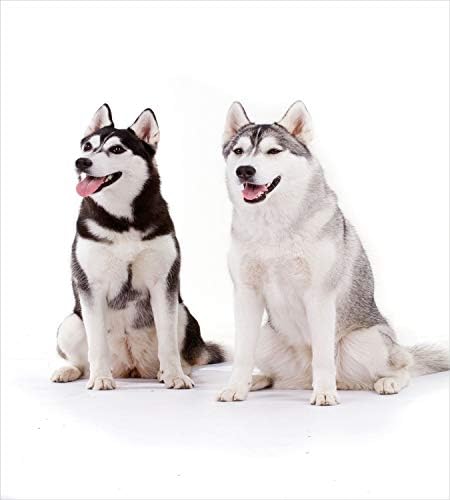 Durable Duvet Cover Set for Alaskan Malamutes