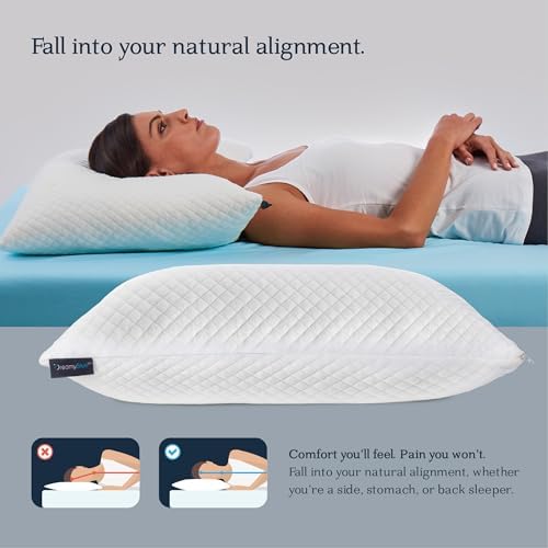 DreamyBlue Signature Pillow Adjustable Loft Shredded Memory Foam Sleep Comfort