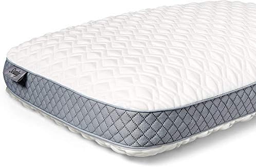 Sealy Molded Memory Foam Pillow for Pressure Relief