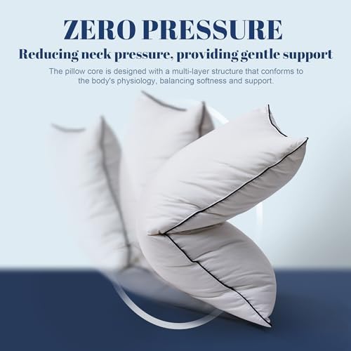 Luxury Hotel Goose Down Pillow King Size Set