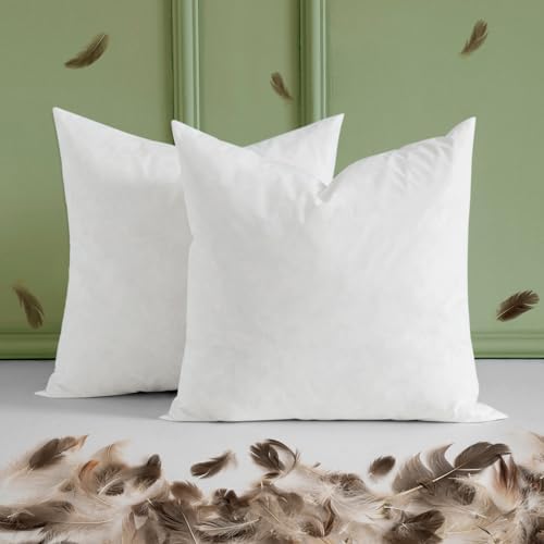 26x26 Euro Pillow Insert