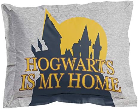 Harry Potter Twin Comforter Set Gray - Best for Kids