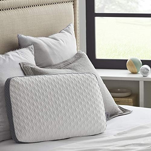 Sealy Molded Memory Foam Pillow for Pressure Relief