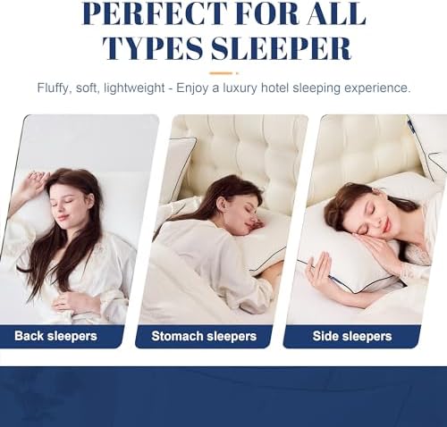 Luxury Hotel Goose Down Pillow King Size Set
