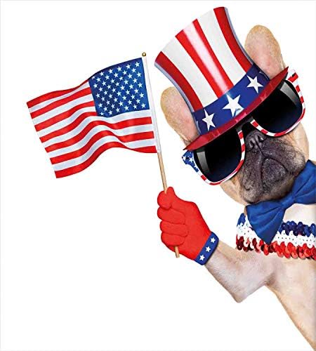 Ambesonne Patriotic 4th of July Duvet Cover Set for Kids