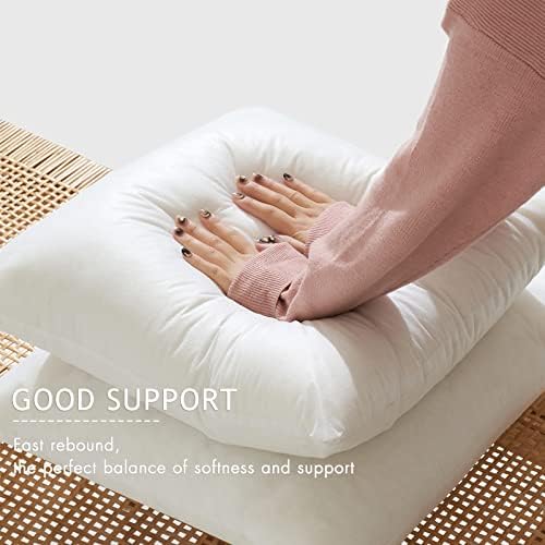 MIULEE 12x20 inch Decorative Pillow Insert