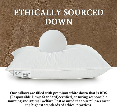 BHZ Goose Down Feather Queen Pillow - Hotel Style Soft Support
