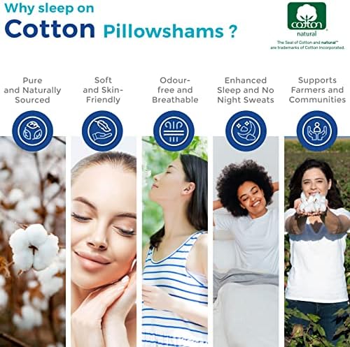Premium Egyptian Cotton Pillow Shams