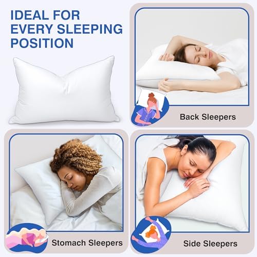 Luxury Goose Feather Pillow with 60 Down Fill