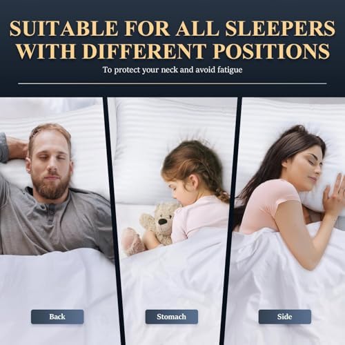 Luxury Microfiber Bed Pillows Set for Rejuvenation