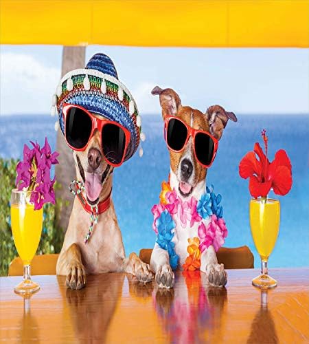 Ambesonne Funny Duvet Cover Set Occasional Pillow Shams tropical Dog Friends at Bar