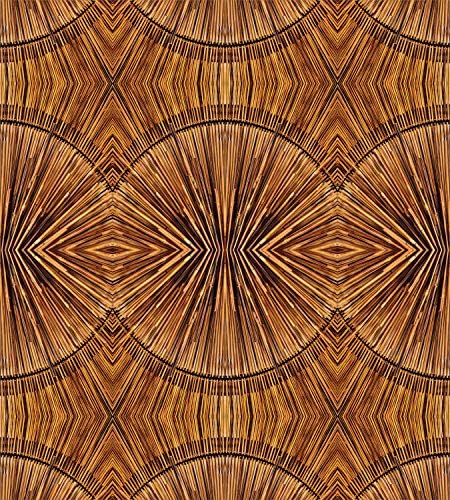 Ambesonne Burning Rapid Responsive Tribal Duvet Cover Set