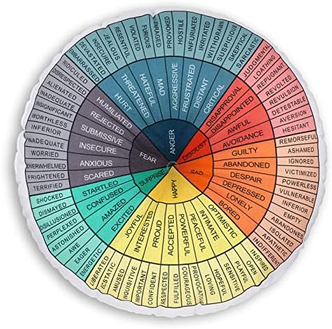 Maitys Wheel of Emotions Round Throw Pillow 28x28 Inch